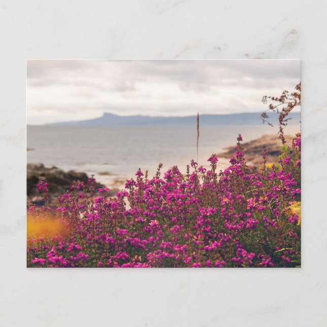 Traigh Beach and Eigg Postcard (Front)