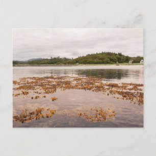 Traigh Beach Postcard