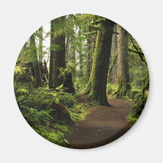 Trail Amongst Giants Magnet (Front)