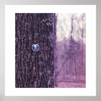 Trail at Dunbar Cave State Park Poster