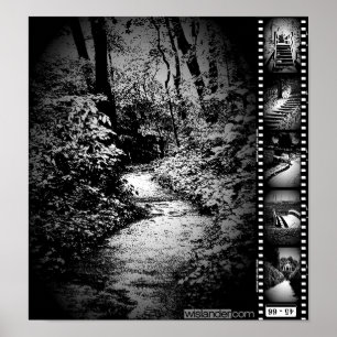 Trail Image Poster