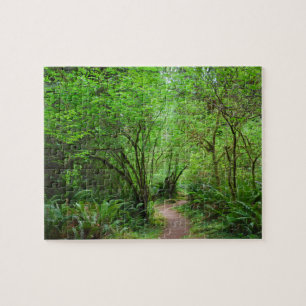 Trail in Redwood Forest Jigsaw Puzzle