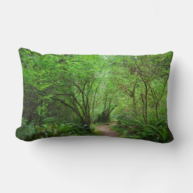 Trail in Redwood Forest Lumbar Cushion (Front)