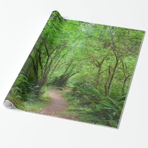 Trail in Redwood Forest Wrapping Paper