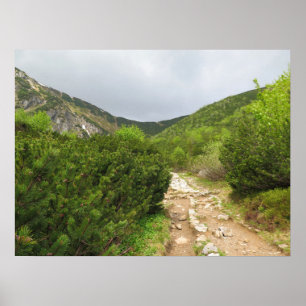 Trail - Tatras Slovakia Poster