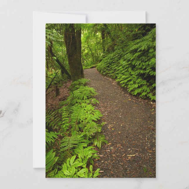 Trail Through the Forest Thank You Card (Front)