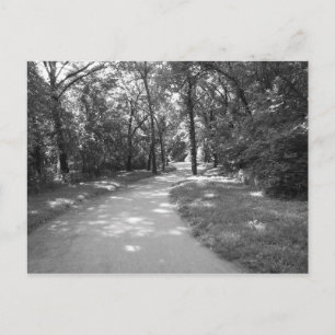 Trail through the Woods Postcard