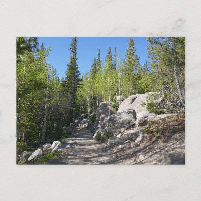 Trail to Alberta Falls Postcard (Front)