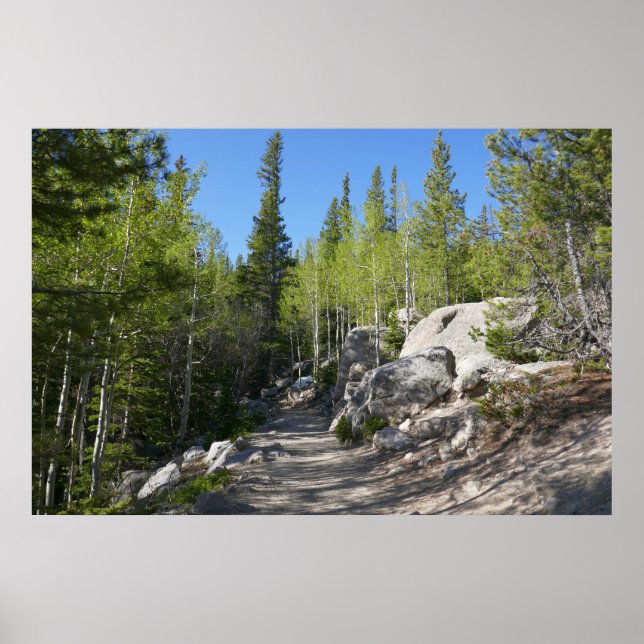 Trail to Alberta Falls Poster (Front)