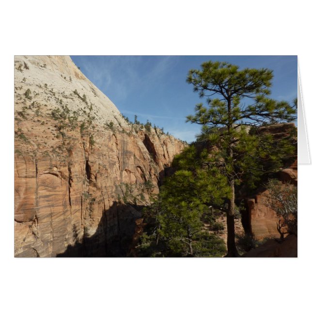 Trail to Angels Landing in Zion National Park (Front Horizontal)