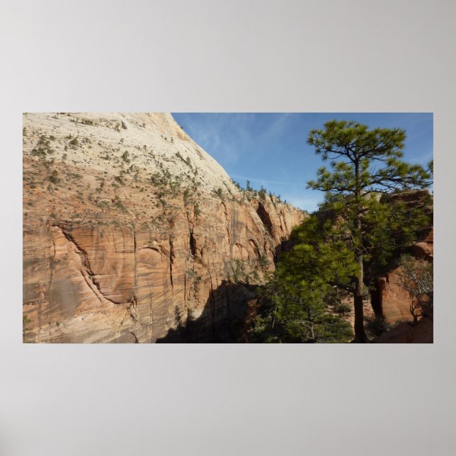 Trail to Angels Landing in Zion National Park Poster (Front)