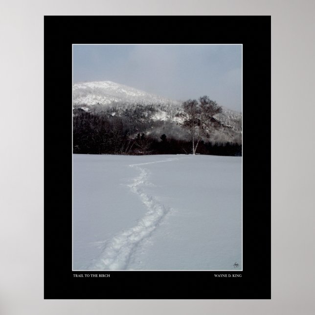Trail to Birch in Winter Colour Poster (Front)