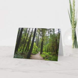 Trail to Marymere Falls II Card