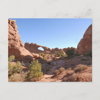 Trail to Skyline Arch Postcard