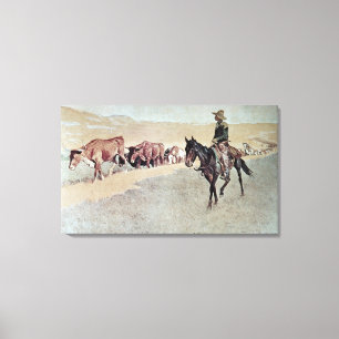 Trailing Texas Longhorns (oil on canvas) Canvas Print