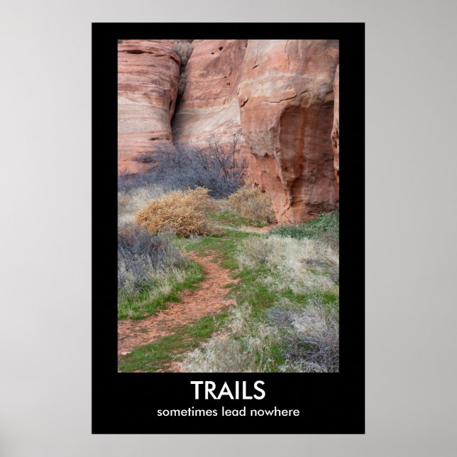 TRAILS Demotivational Poster (Front)
