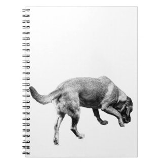 Trails & Tails Notes Notebook