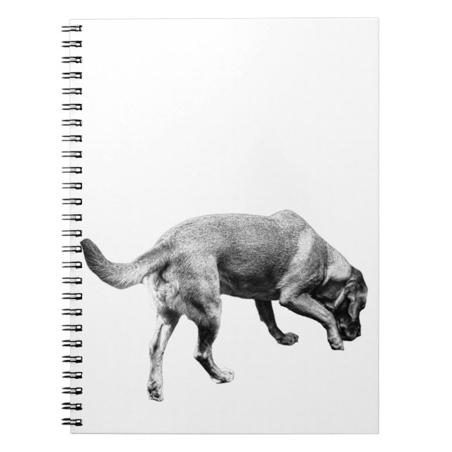Trails & Tails Notes Notebook (Front)