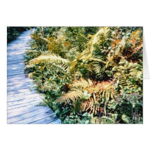 Trailside Flora