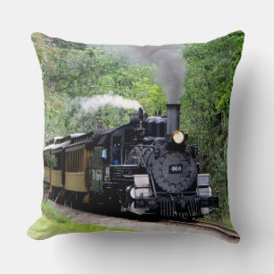 Train 29-30 Image Options Pillow