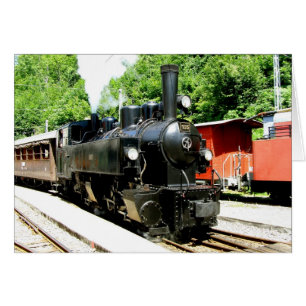 Train at Chamby railway museum
