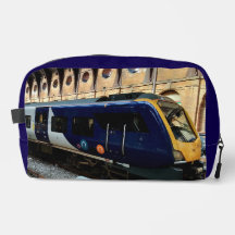 Train, at the station