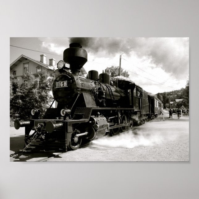 Train Leaving Station Poster (Front)