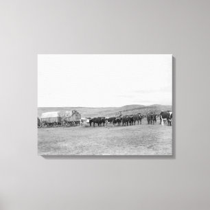 Train of Oxen and Wagons Headed for Black Hills Canvas Print
