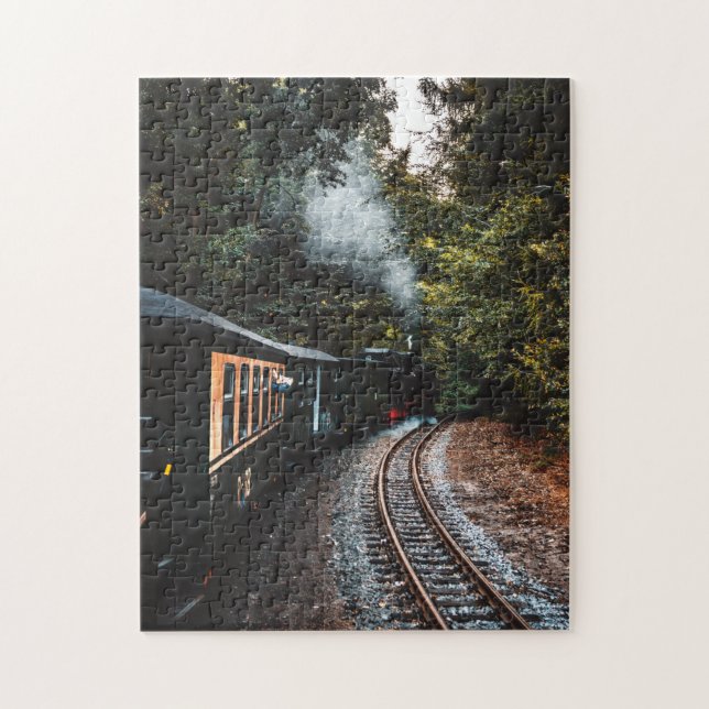 Train Puzzles Daily Jigsaw Puzzle/Subway Train Jig (Vertical)