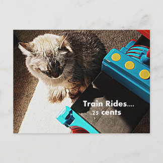 Train rides Cat Postcard