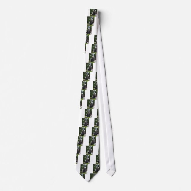 train steam rail railway station engine rails art tie (Front)