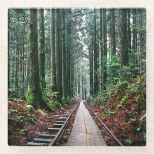 Train Tracks in the Forest Glass Coaster