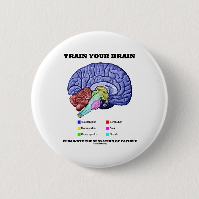 Train Your Brain Eliminate Sensation Of Fatigue 6 Cm Round Badge (Front)
