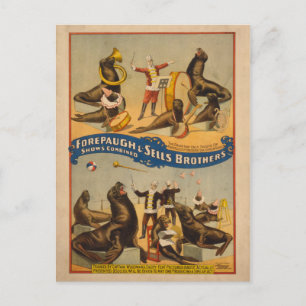 Trained Seals Circus Poster - Forepaugh & Sells Postcard