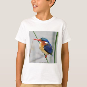 Trainer of kingfisher T-Shirt