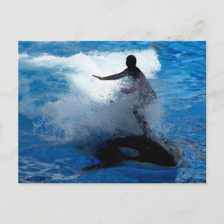 Trainer riding on killer whale orca photograph postcard