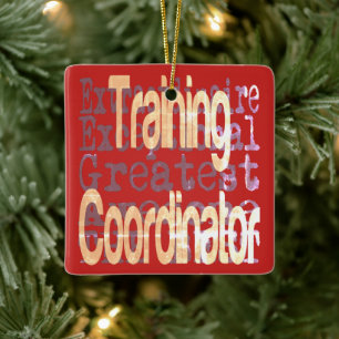 Training Coordinator Extraordinaire Ceramic Ornament