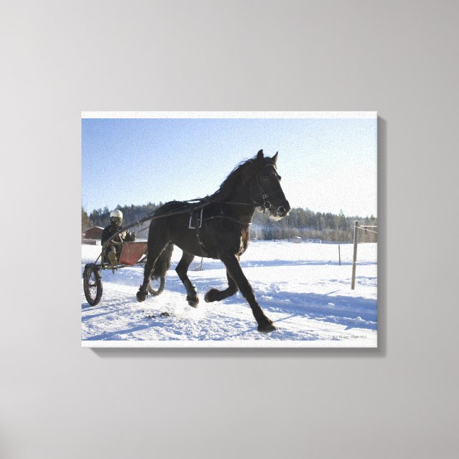 Training of horses in a wintry landscape, canvas print (Front)