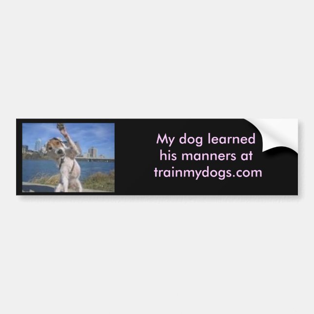 Trainmydogs.com Bumper Sticker (Front)