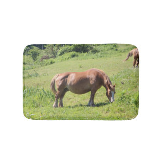Trait Breton horse Bath Mat