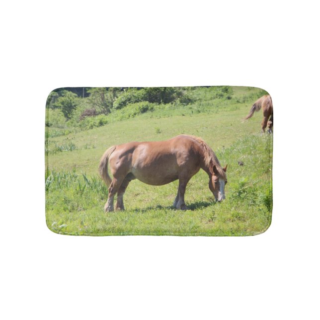 Trait Breton horse Bath Mat (Front)
