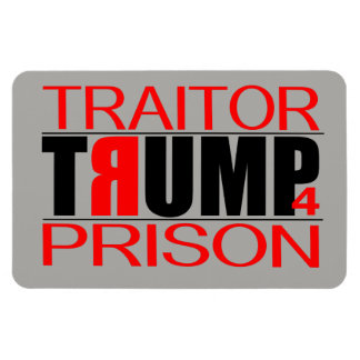 TraitorTrump 4 Prison Magnet