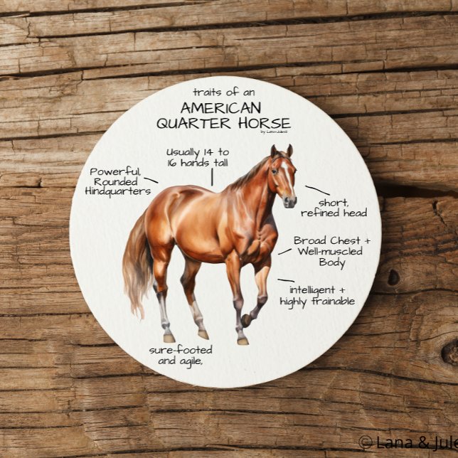 Traits of an American Quarter Horse Coaster (Creator Uploaded)