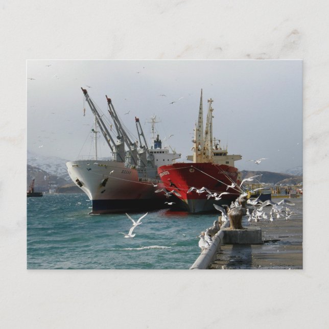 Trampers & Seagulls, Dutch Harbour, AK Postcard (Front)