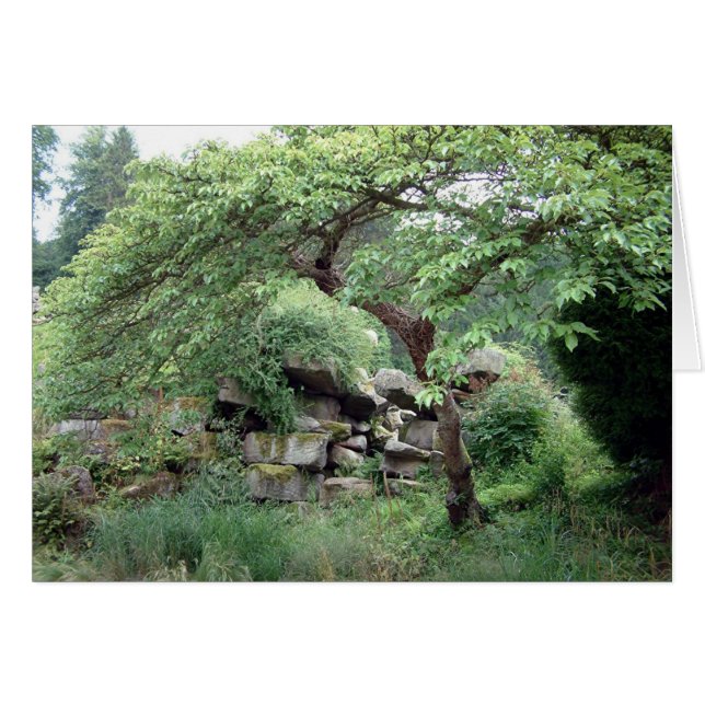 Tranquaility (Front Horizontal)