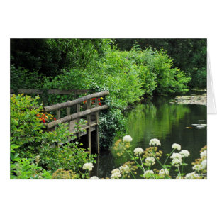 Tranquil