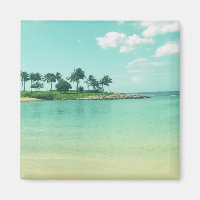 Tranquil and Serene Turquoise Beach in Hawaii