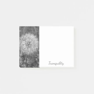 Tranquil Black & White Puff Post-It Notes
