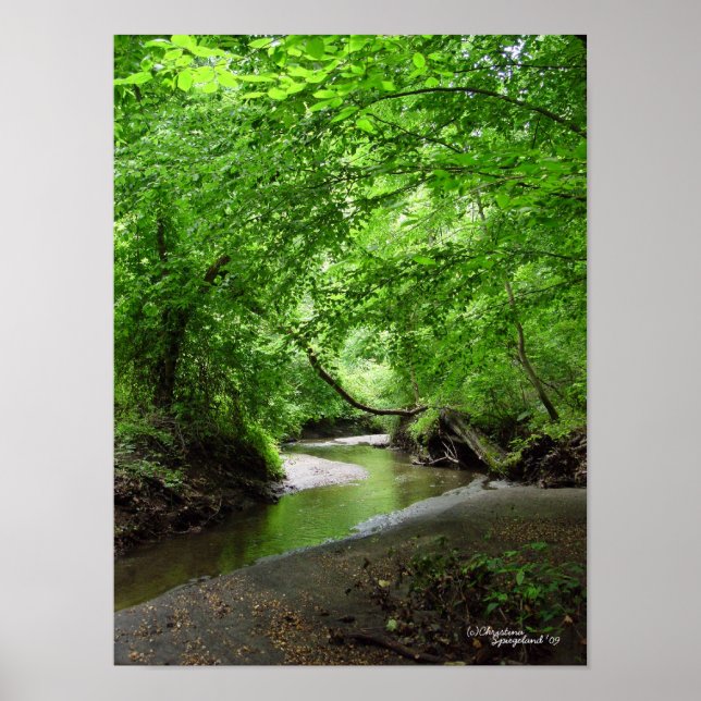 Tranquil Curvy Stream Forest Poster (Front)