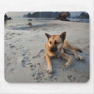 Tranquil Dog on the Beach Mouse Pad